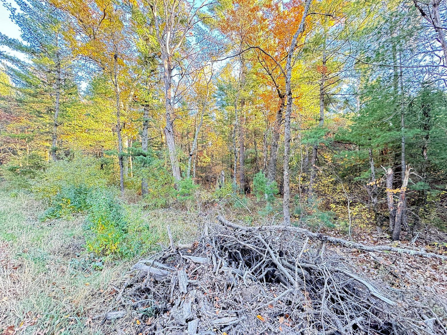 732AC E 58th St Newaygo, MI 49337 | Land/Lot