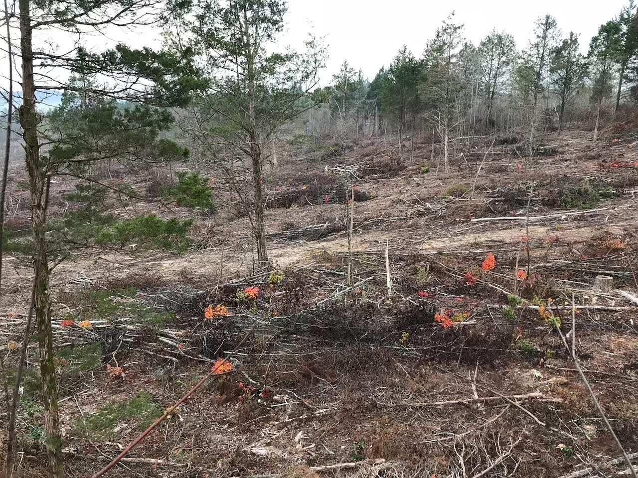 233 County Road 83 Athens, TN 37303 | Land/Lot