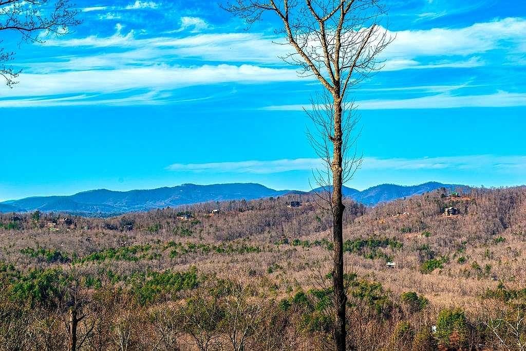 8 Scouts Ovlk Ln Morganton, GA 30560  | Single Family