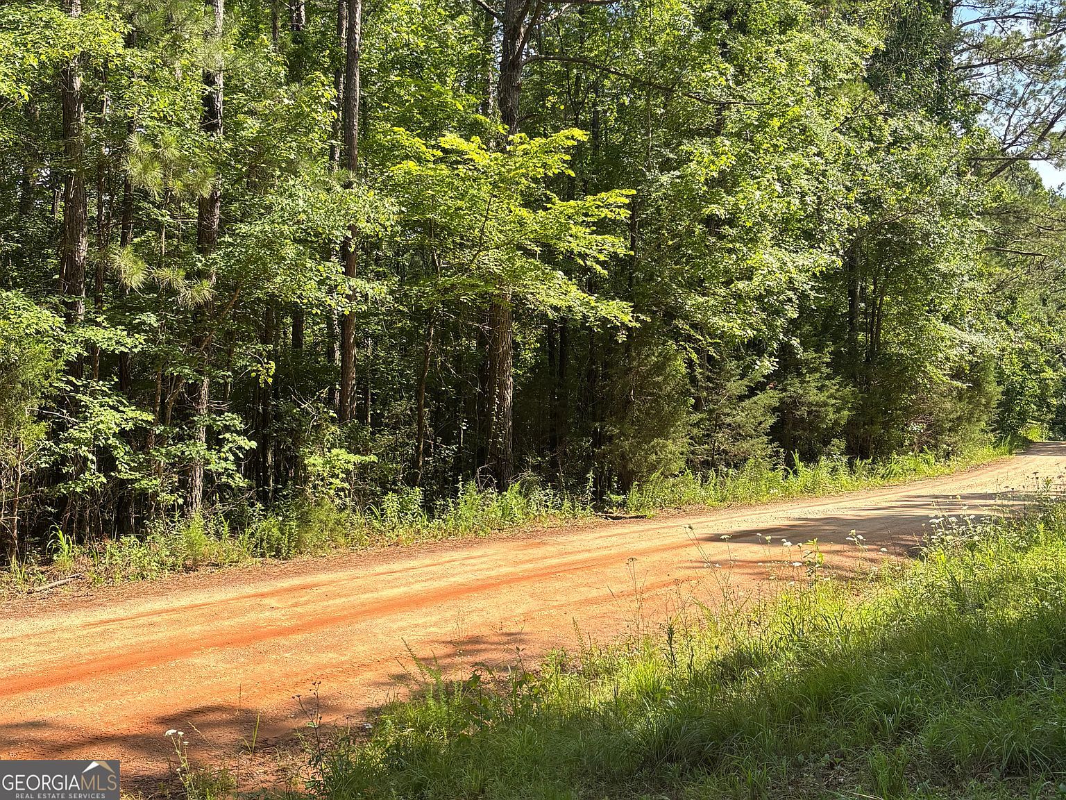 0 County Road 85 Lanett, AL 36863  | Land/Lot