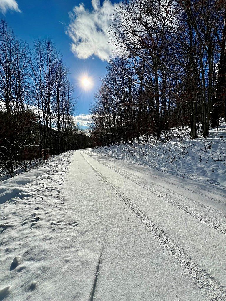 0 Brizzee Hollow Rd Genesee, PA 16923  | Land/Lot