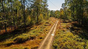 6A Gobbler Ridge Rd Sigel, PA 15860  | Land/Lot