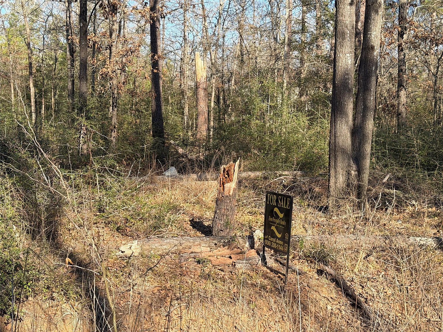 Wild Bird Lot 13 & 14 Livingston, TX 77351 | Land/Lot