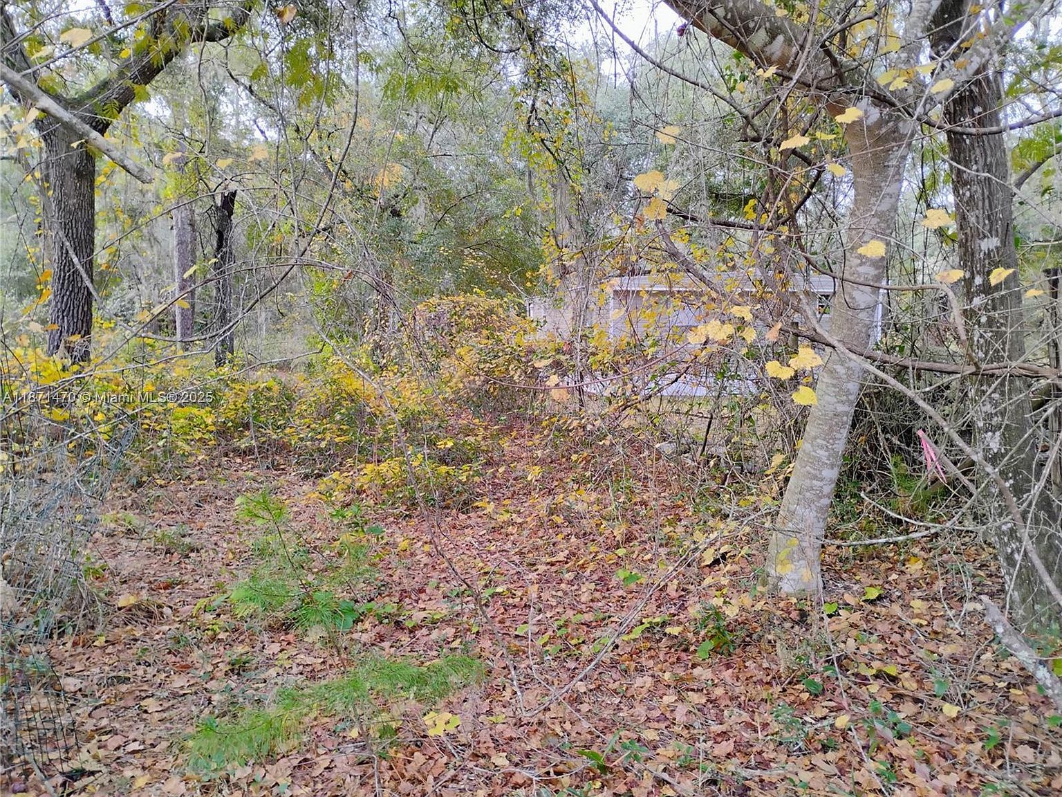 103 Antler Rd Interlachen, FL 32148 | Land/Lot