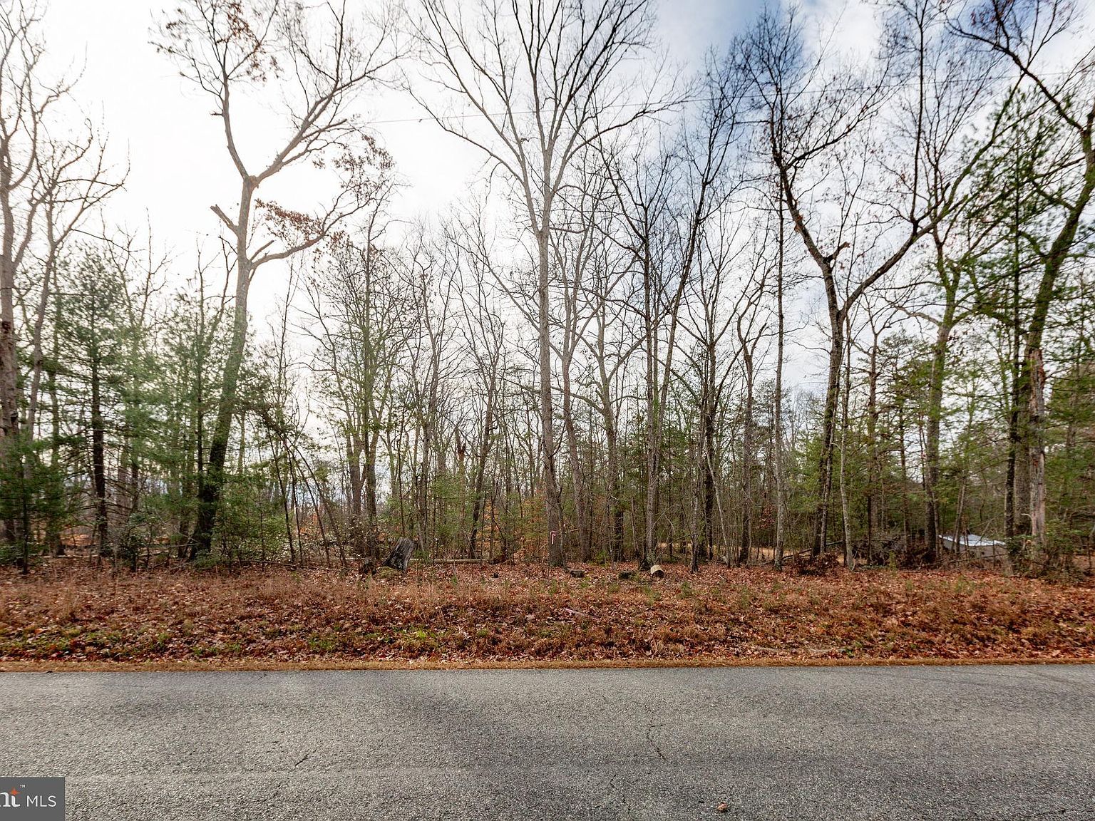 13600 Black Meadow Rd Spotsylvania, VA 22553 | Land/Lot