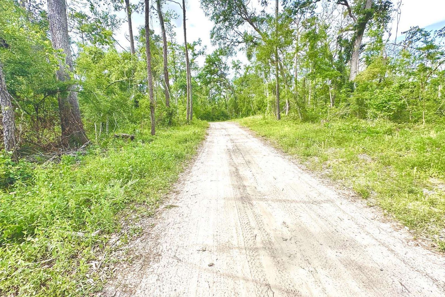 3 NW Fox Run Trl LOT 105 Mayo, FL 32066  | Land/Lot