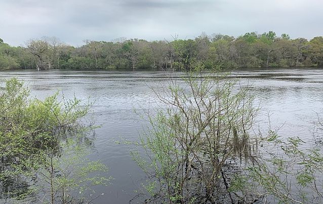 17 SE Elisha Blvd LOT 55 Branford, FL 32008  | Land/Lot