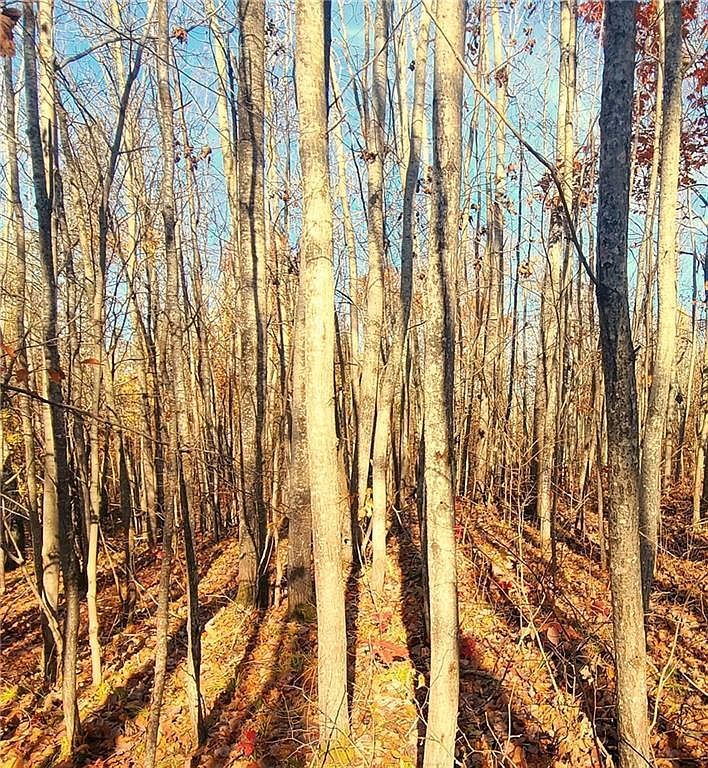 Highway 77 Minong, WI 54859  | Land/Lot