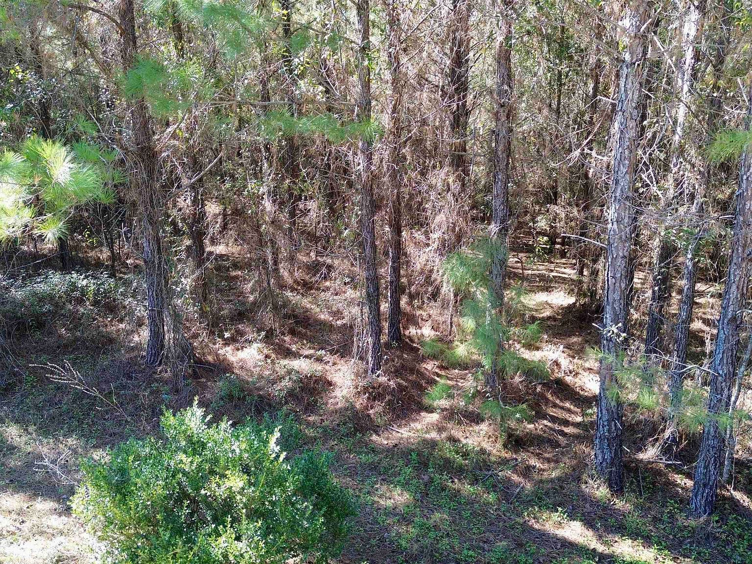 200 Samanthas Ln Monticello, FL 32344  | Land/Lot