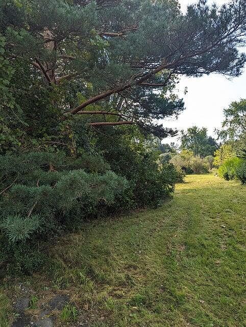 Sisco St Westport, NY 12993 | Land/Lot