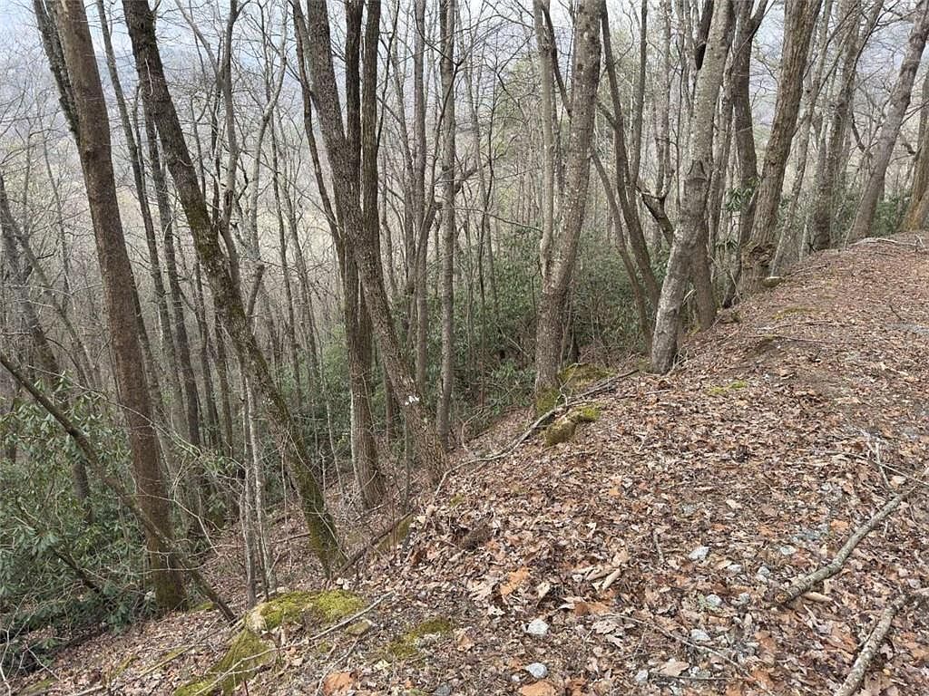 416 Screamer Dr Clayton, GA 30525  | Land/Lot