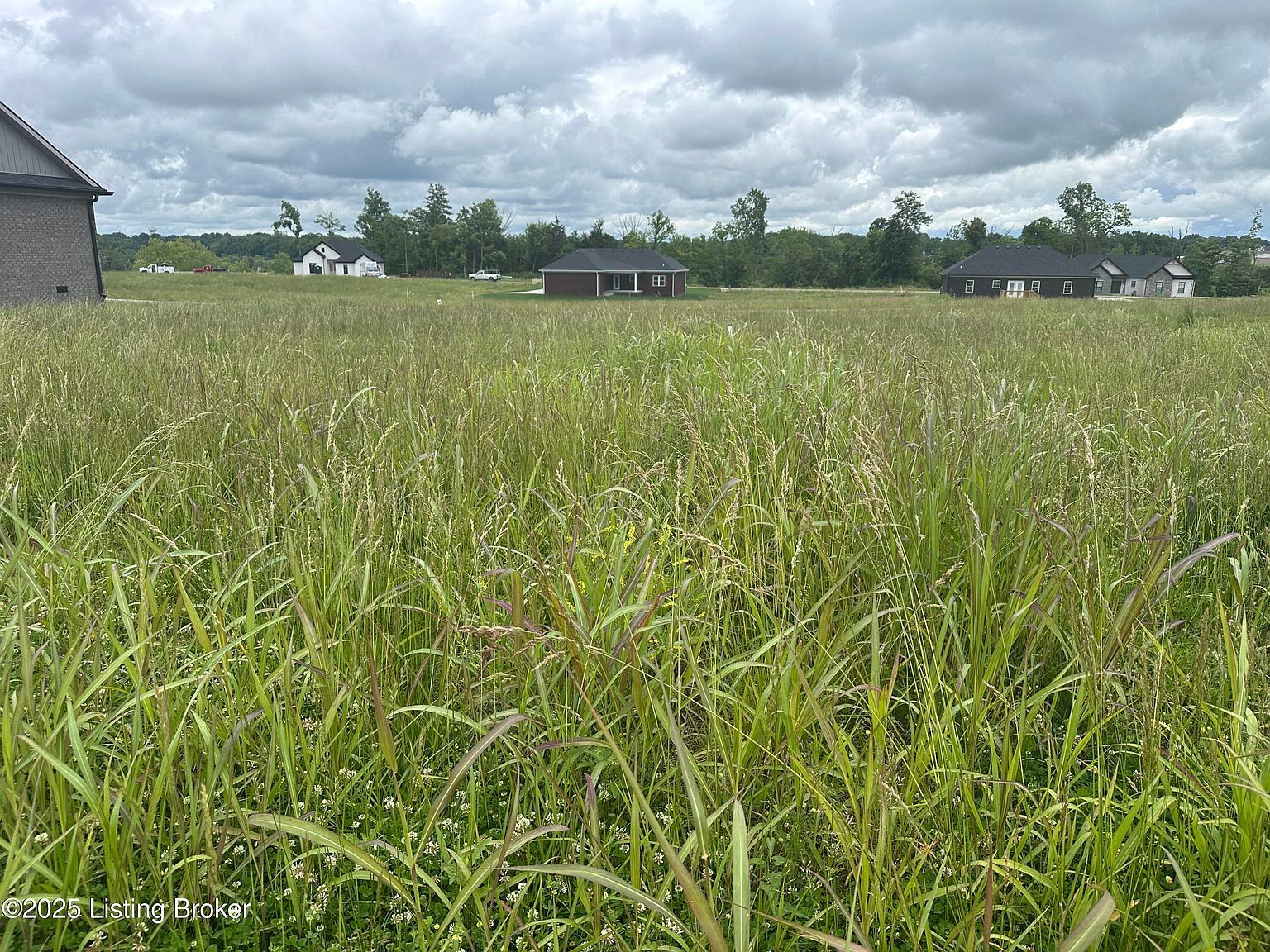 204 Wendover Ct Bardstown, KY 40004 | Land/Lot