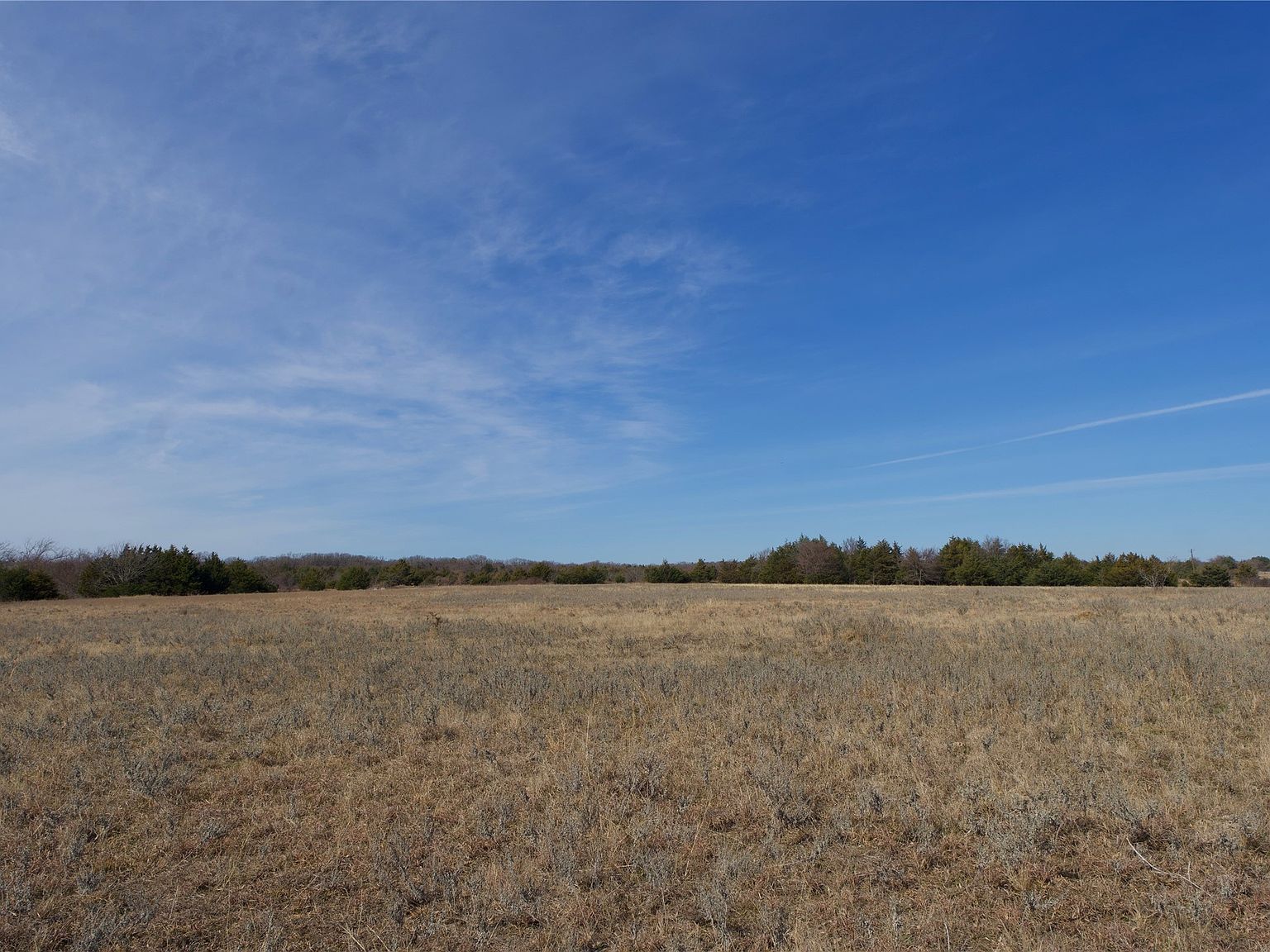 Fm 371 Gainesville, TX 76240  | Land/Lot