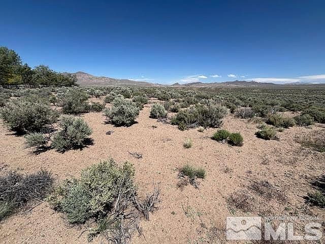 365 Ludwig Ln Smith Valley, NV 89430  | Land/Lot