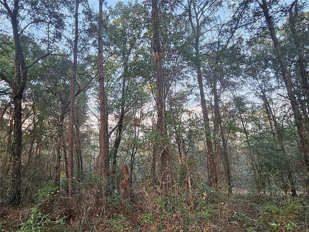 0 State Highway 98 Wilmer, AL 36587 | Land/Lot