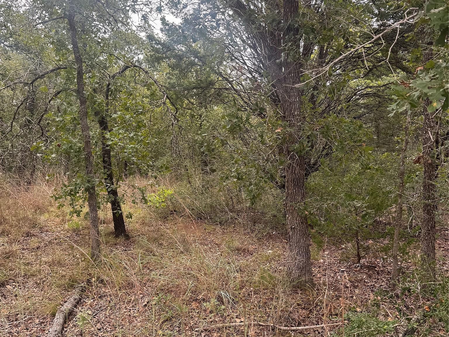 6 Spruce St Paige, TX 78659  | Land/Lot