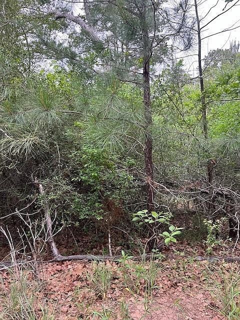 LOT 1603 Ulupau Cir Bastrop, TX 78602  | Land/Lot