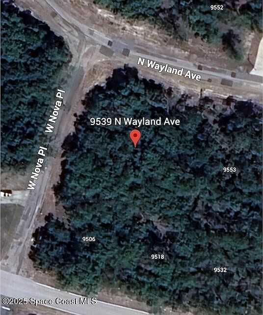 9539 N Wayland Ave Citrus Springs, FL 34434  | Land/Lot