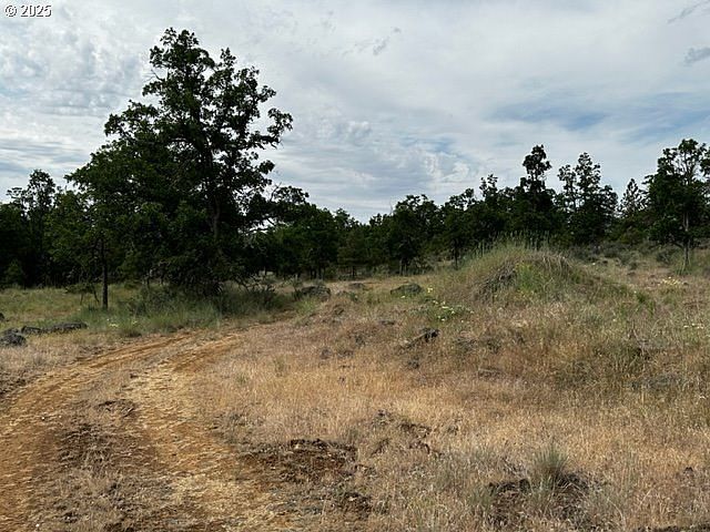 71 Teal Dr Goldendale, WA 98620 | Land/Lot