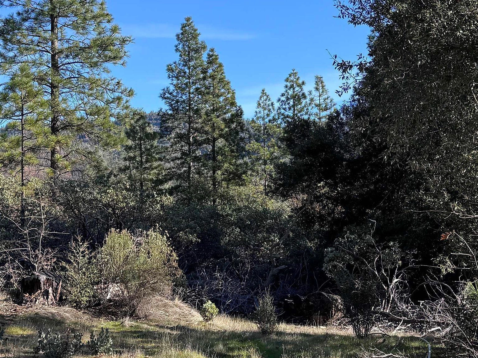 28560 Italian Bar Rd Twain Harte, CA 95383 | Land/Lot