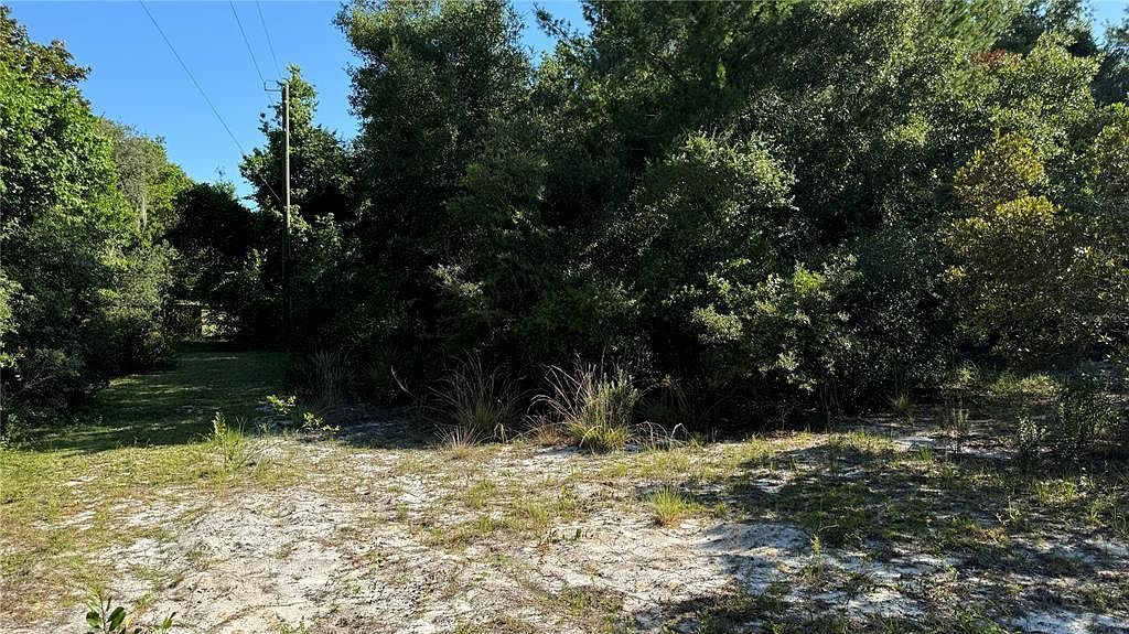 8045 NE 307th Ave #1 Fort Mc Coy, FL 32134  | Land/Lot