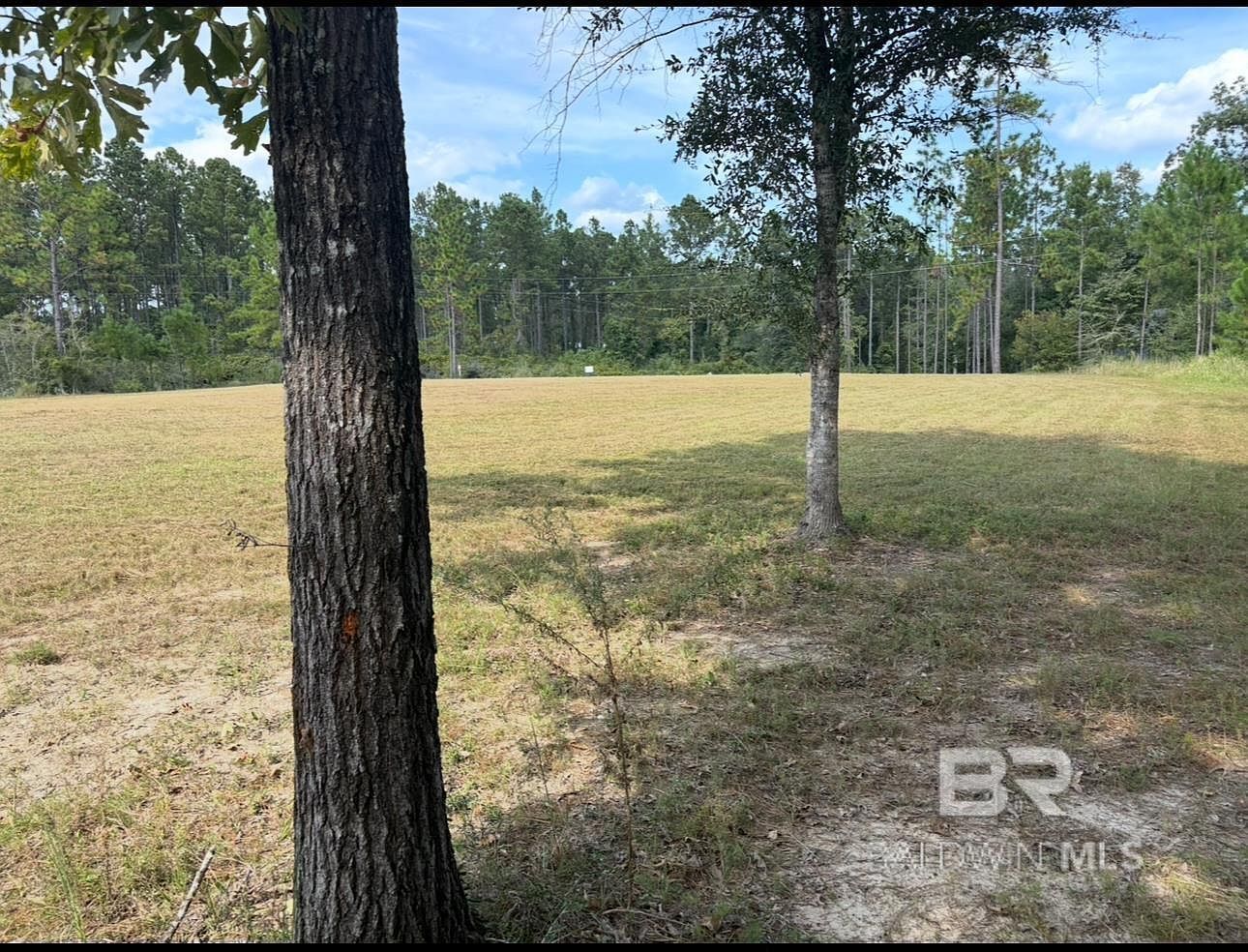 Steelwood Ridge Rd #8 Loxley, AL 36551 | Land/Lot