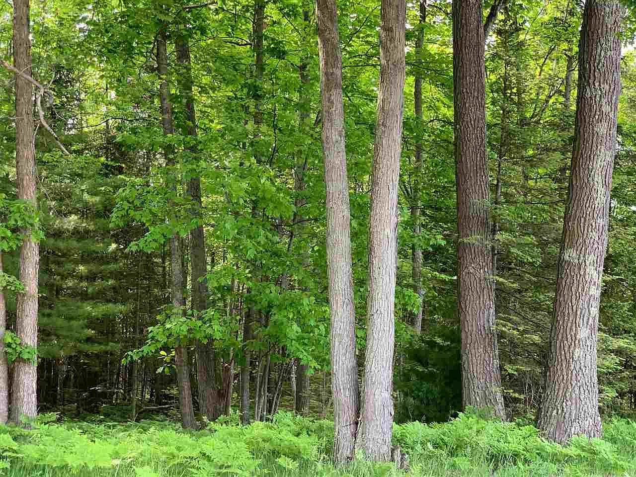 W Houghton Lake Dr Houghton Lake, MI 48629  | Land/Lot