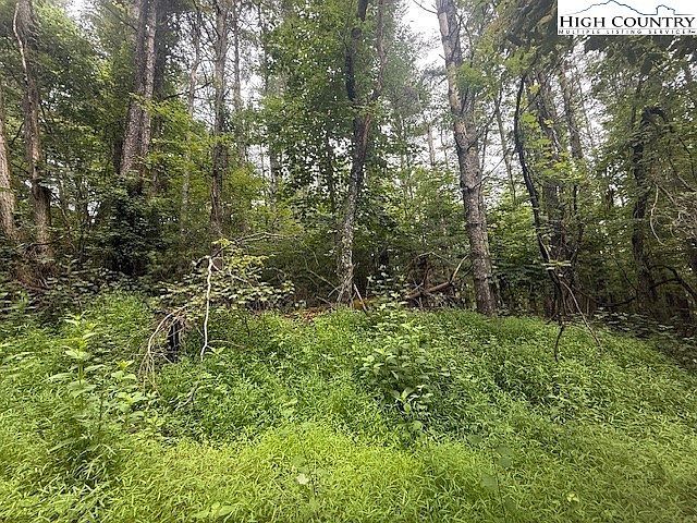 Tbd Beaver Creek Dr West Jefferson, NC 28694  | Land/Lot