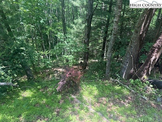 Deerwood Rd #58 Sparta, NC 28675  | Land/Lot