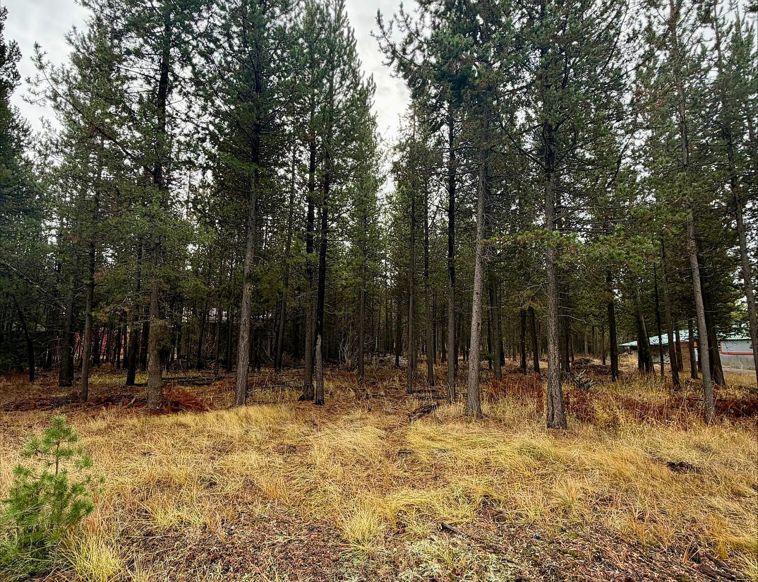 17113 Covina Rd Bend, OR 97707  | Land/Lot