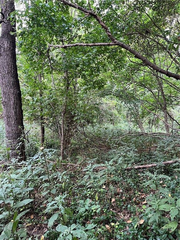 Gum Springs Rd Parthenon, AR 72666  | Land/Lot