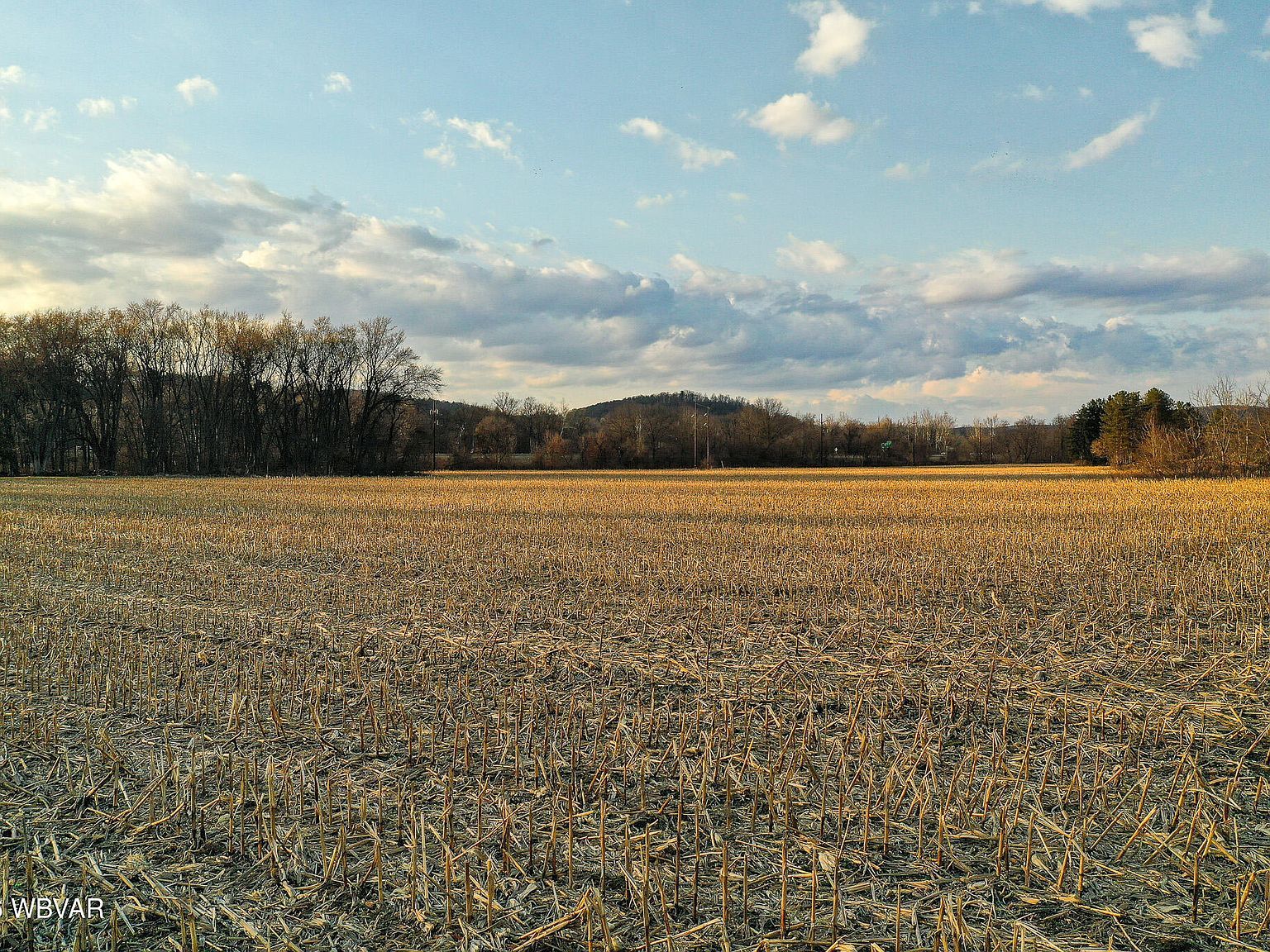 PARCEL 701 Crawford Aly Montoursville, PA 17754  | Land/Lot