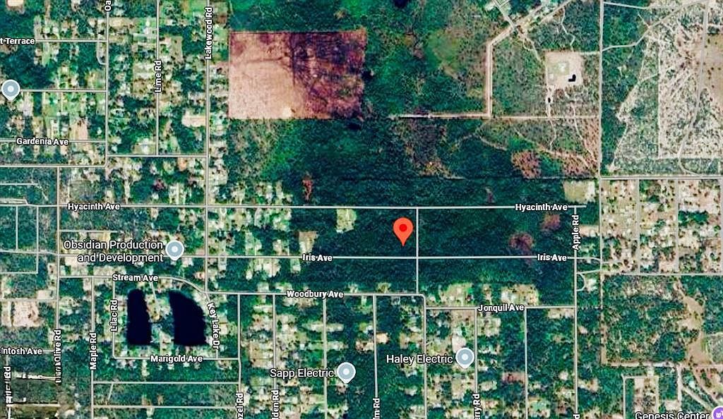 1218 Iris Ave Sebring, FL 33875  | Land/Lot