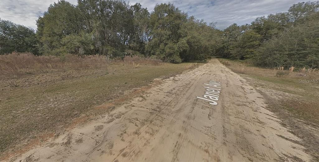 905 Janet Ave #14 Interlachen, FL 32148  | Land/Lot