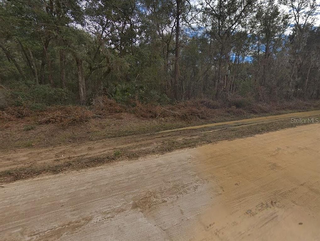 0 Walker Dr #20 Interlachen, FL 32148  | Land/Lot
