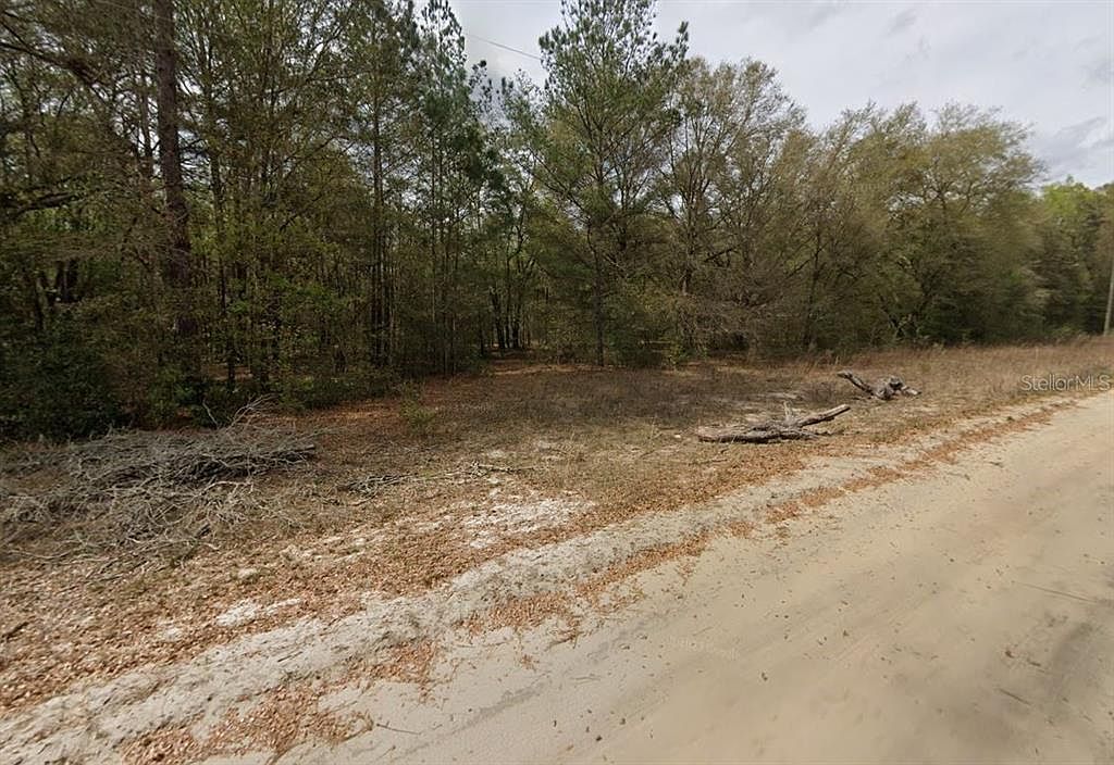 Guy Avenue Lot #24 Interlachen, FL 32148  | Land/Lot