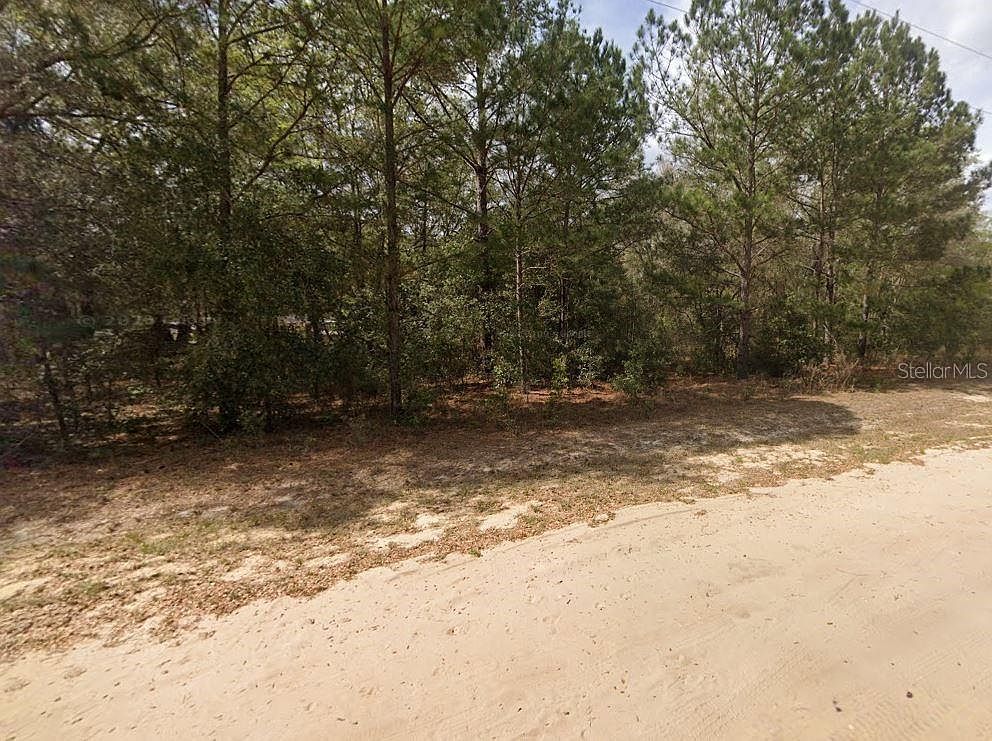 Lenore Avenue Lot #21 Interlachen, FL 32148 | Land/Lot
