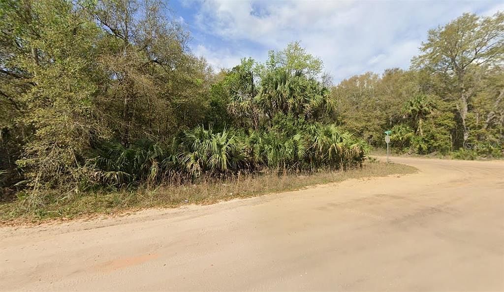 Annette Avenue Lot #36 Interlachen, FL 32148  | Land/Lot