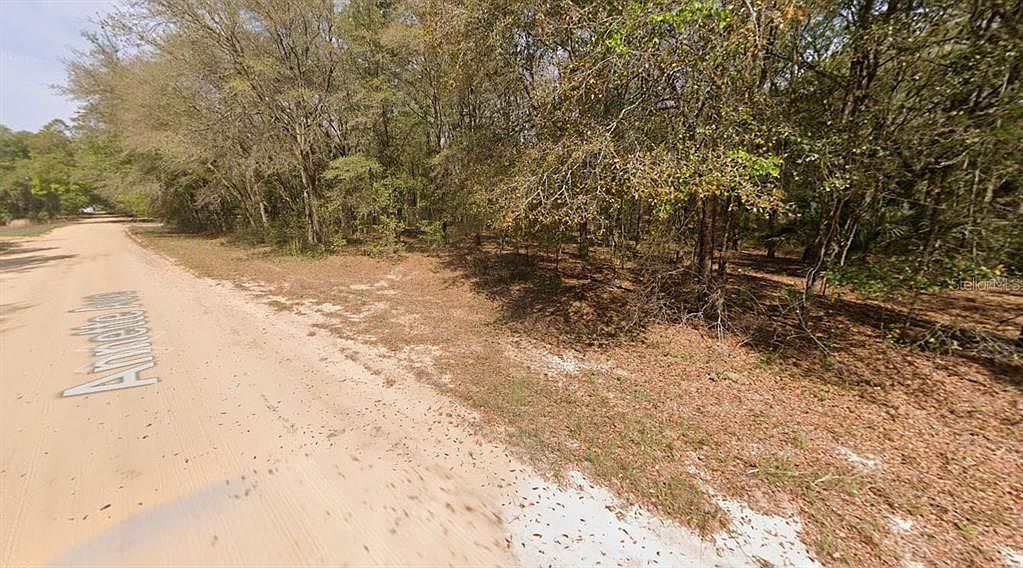 Annette Avenue Lot #14 Interlachen, FL 32148 | Land/Lot