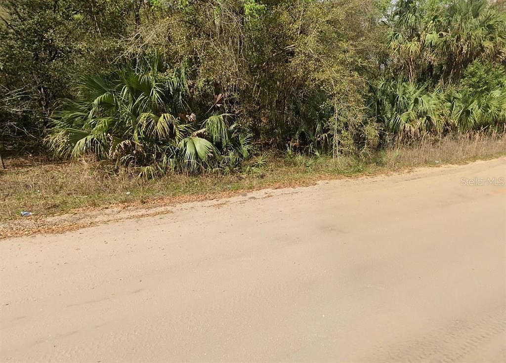 Annette Avenue Lot #35 Interlachen, FL 32148 | Land/Lot