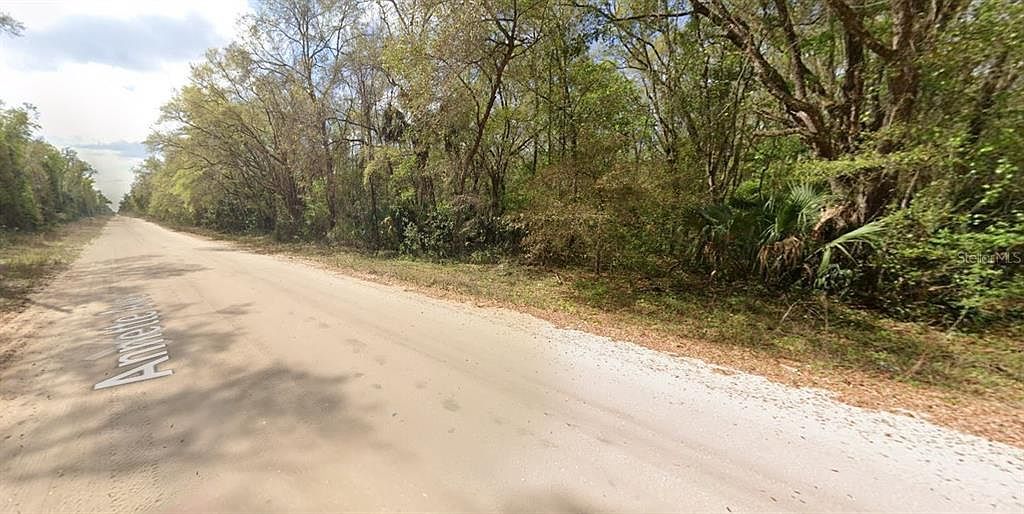 Annette Avenue Lot #32 Interlachen, FL 32148 | Land/Lot