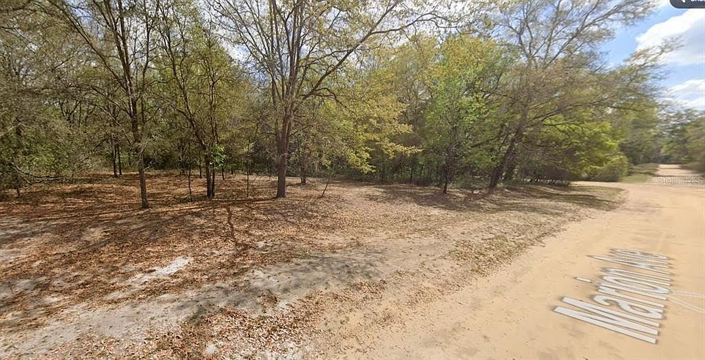 Marion Avenue Lot #17 Interlachen, FL 32148 | Land/Lot
