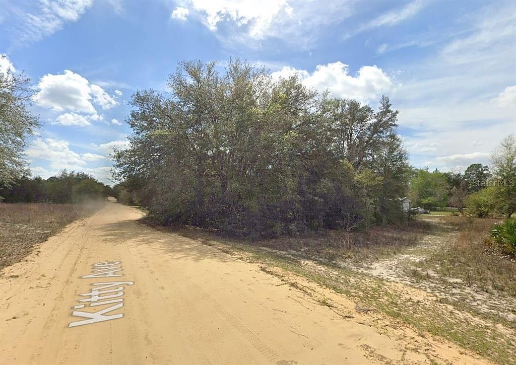 821 Kitty Ave #15 Interlachen, FL 32148  | Land/Lot