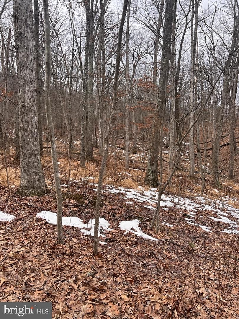 Hummingbird Ln Star Tannery, VA 22654  | Land/Lot