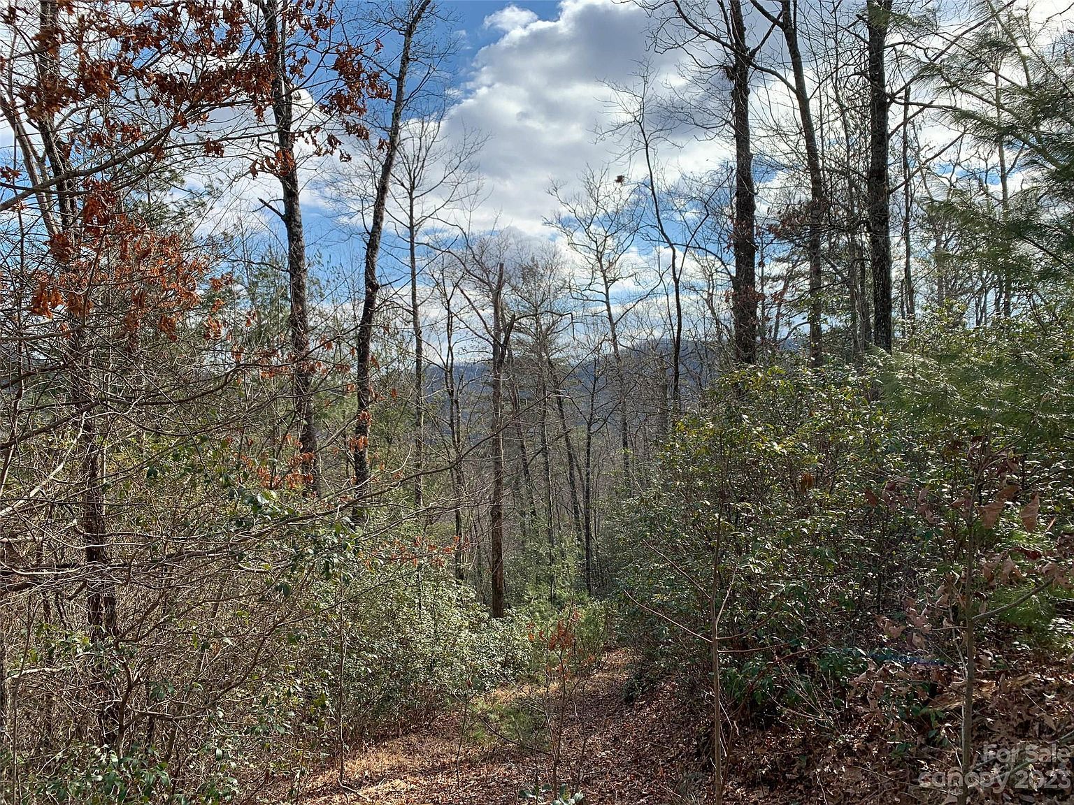 91 Laurel Thicket Brevard, NC 28712  | Land/Lot