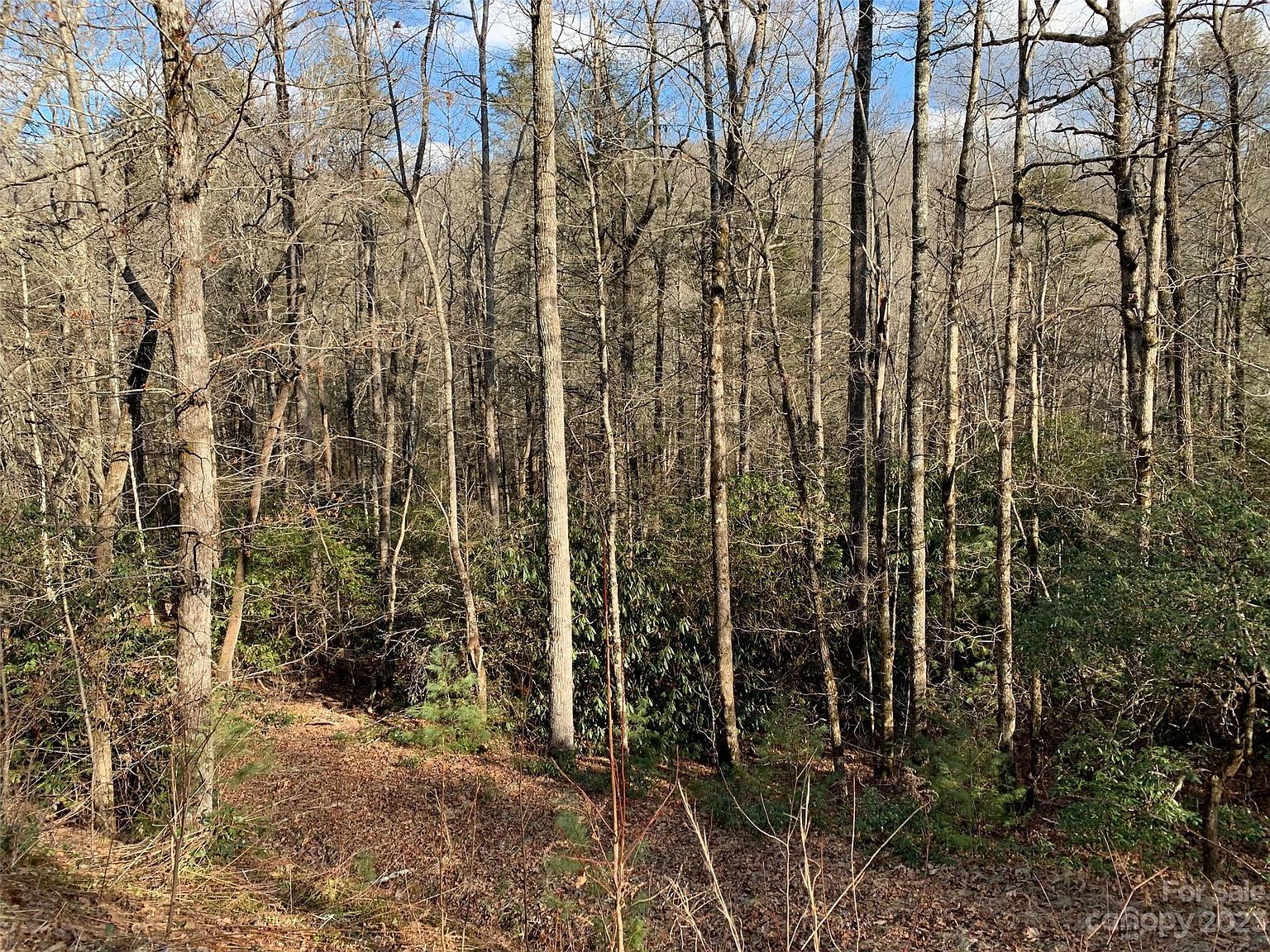 126 Green Hollow Ln Brevard, NC 28712  | Land/Lot