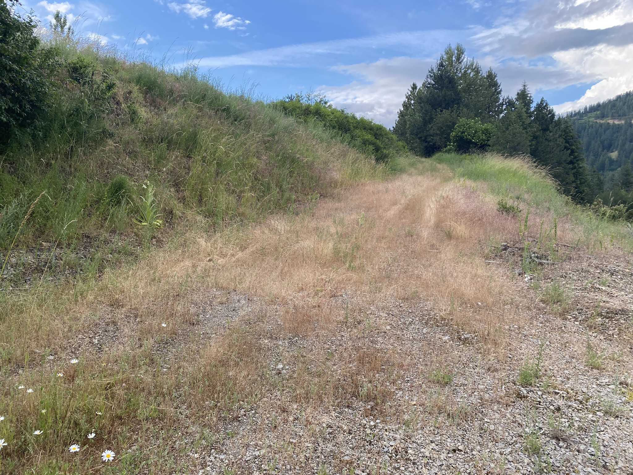 225 Pine Tree Drive, Pinhurst, ID, 83850 - Thumbnail 5