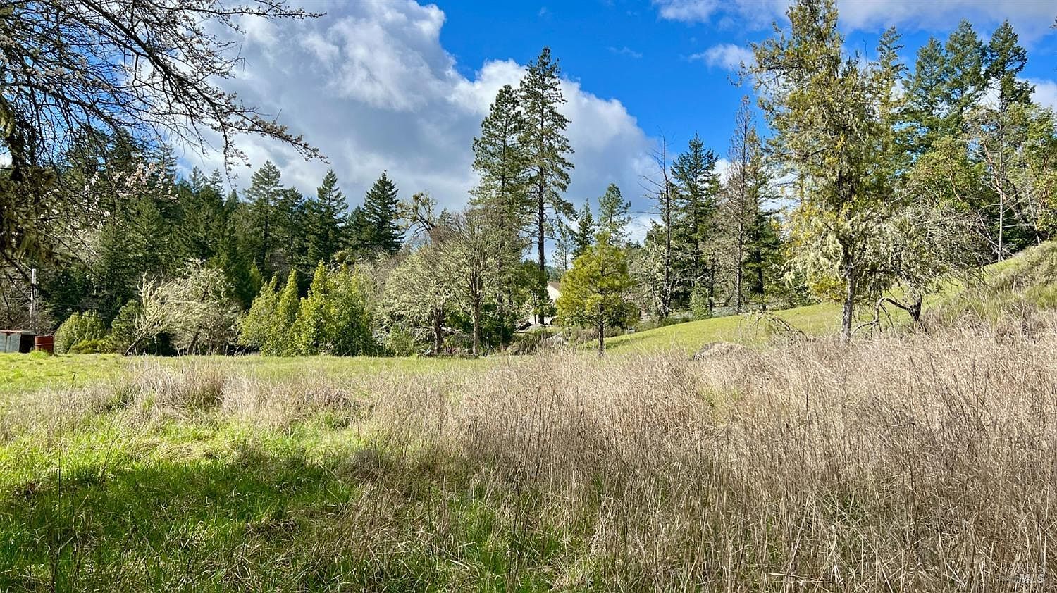 25631 Daphne Way Willits, CA 95490  | Land/Lot