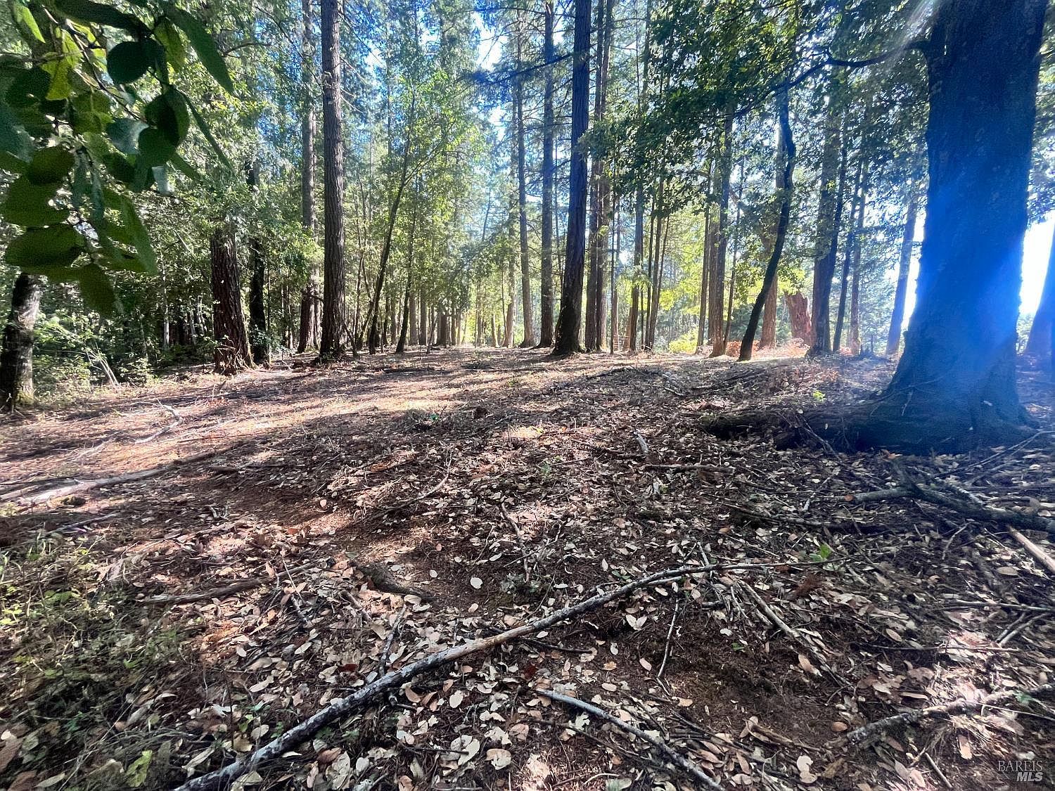 25201 Sherwood Rd Willits, CA 95490 | Land/Lot