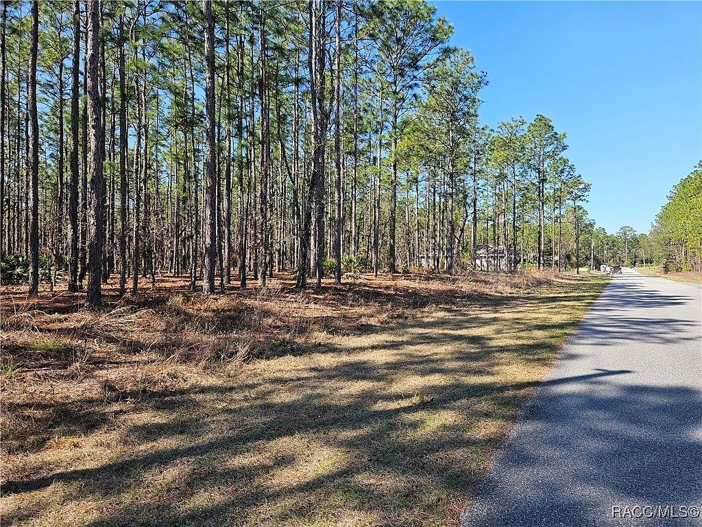 1148 W Galgano St Citrus Springs, FL 34434  | Land/Lot